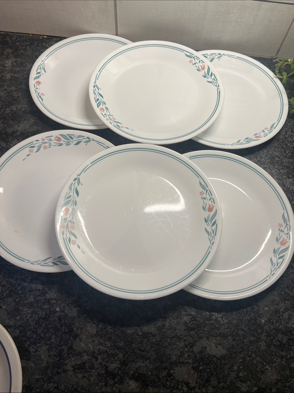 Vintage ROSEMARIE CORELLE Classic White Floral Rim Dinner Plates - Set of 6